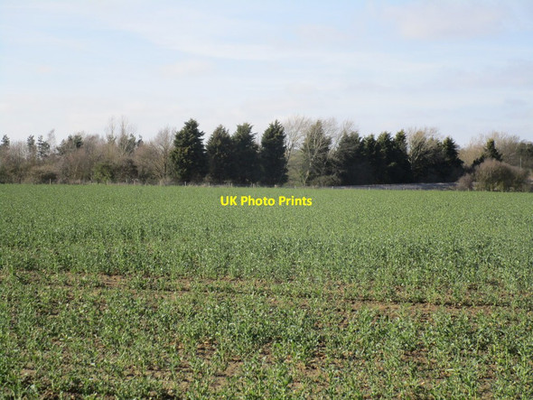 Photo 6"x4" Looking towards the railway Ruskington c2015