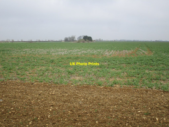 Photo 6"x4" Looking towards Middle Street Aisthorpe c2015