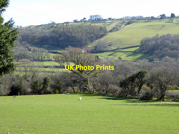 Photo 6"x4" Pasture in Cwm Rheidol Nantyronen Station c2015