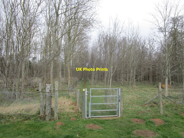 Photo 6"x4" Gate into Dunston Pillar Wood Waddington\/SK9864 c2015