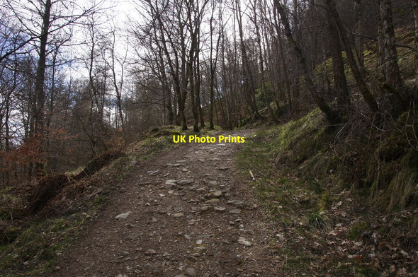 Photo 6"x4" The Birnam Hill path above the Quarry Car Park Birnam c2015
