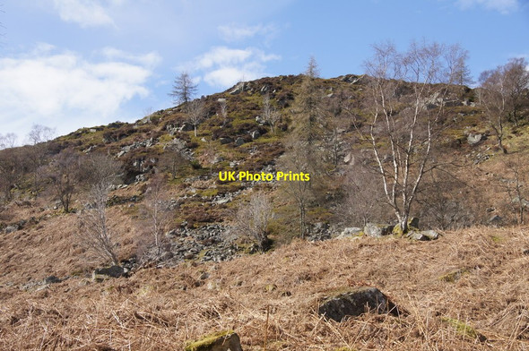 Photo 6"x4" Ridge on the south-east side of Birnam Hill Birnam c2015