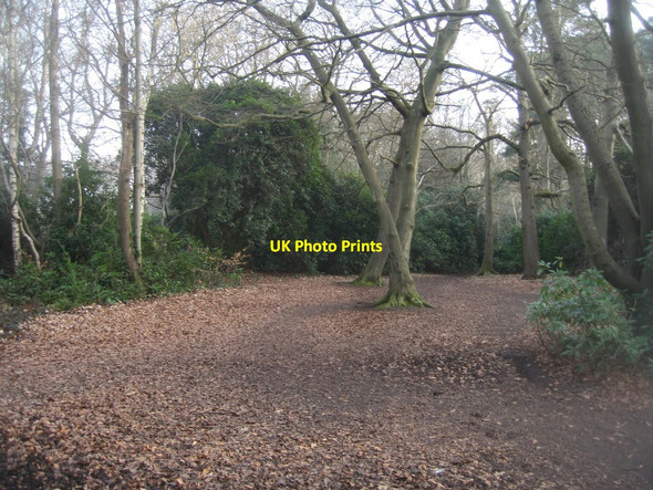 Photo 6"x4" Path through Queen Elizabeth Park Farnborough\/SU8754 c2015