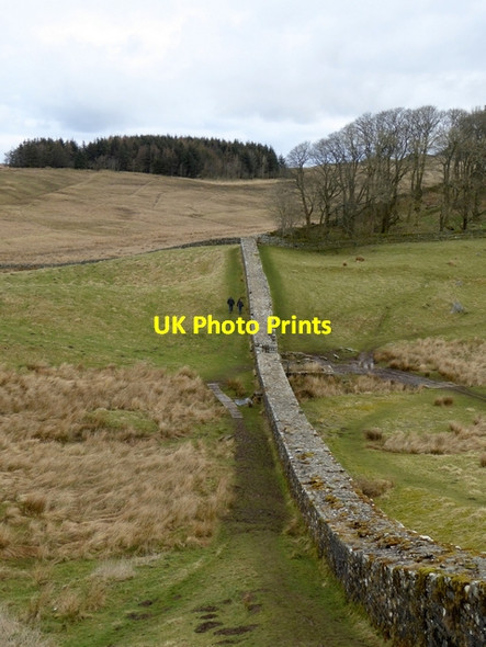 Photo 6"x4" Roman Wall east of Housesteads Thorngrafton c2015