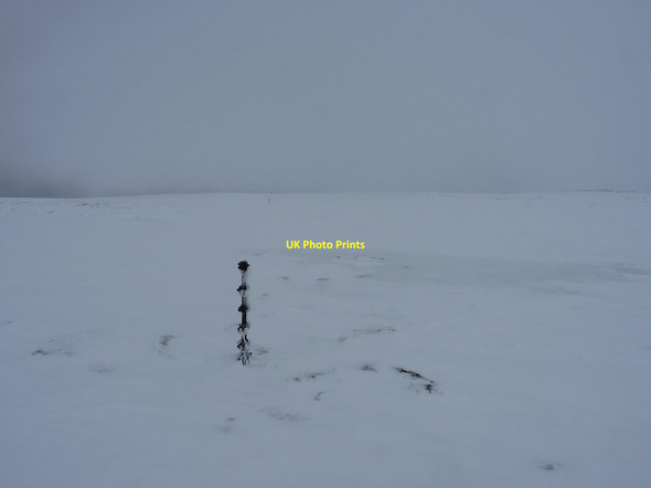 Photo 6"x4" One little lonely fencepost A' Bhuidheanach Bheag c2015