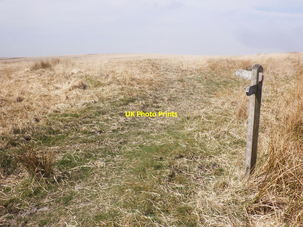 Photo 6"x4" MacMillan Way West Edgcott\/SS8438 c2015