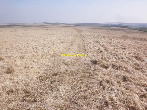 Photo 6"x4" MacMillan Way West Elsworthy\/SS8141 c2015