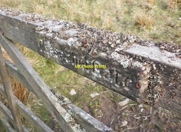 Photo 6"x4" Lichen on wooden gate Oareford c2015