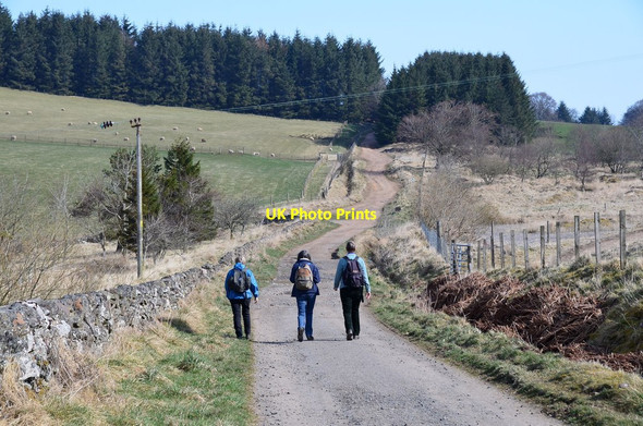 Photo 6"x4" Track near the Siller Holes, West Linton West Linton c2015