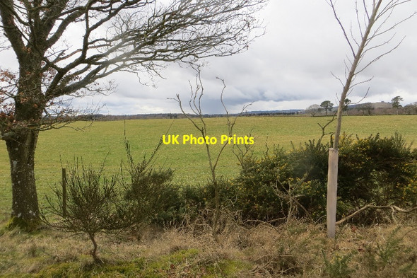 Photo 6"x4" Field, Ruthven Ruthven\/NO2848 c2015