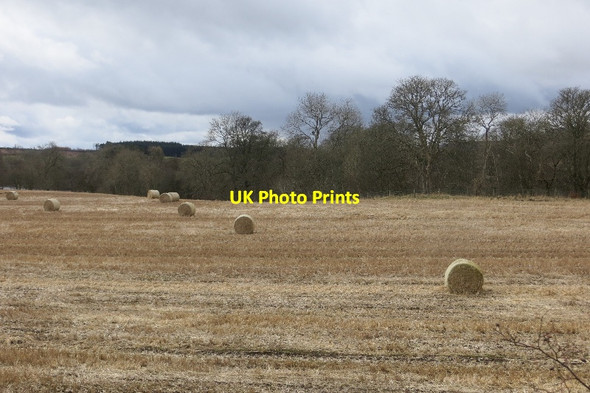 Photo 6"x4" Round bales Dillavaird Airlie\/NO3150 c2015