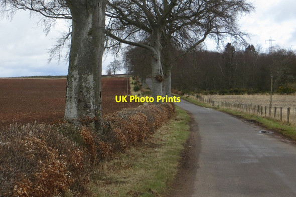 Photo 6"x4" Road, Brae of Airlie Airlie\/NO3150 c2015