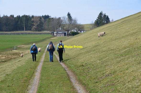 Photo 6"x4" Baddinsgill Reservoir dam Carlops c2015