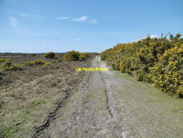 Photo 6"x4" Hill Top, forestry track Hill Top\/SU4003 c2015