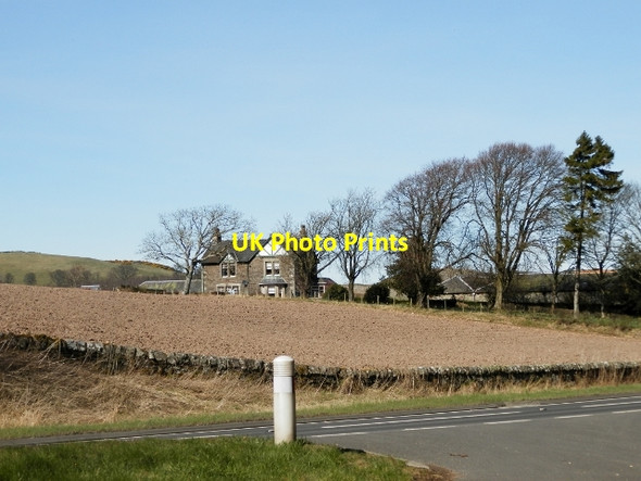 Photo 6"x4" Easter Kinsleith Easter Kinsleith c2015