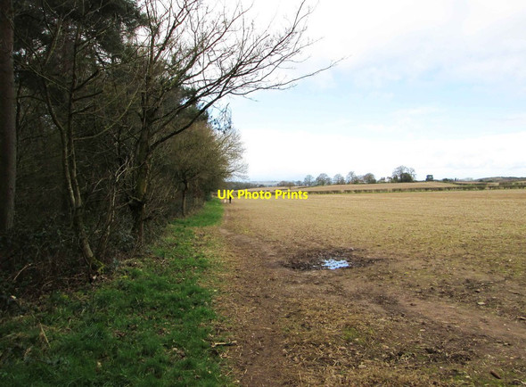 Photo 6"x4" Path at the edge of a field by Hurcott Wood, near Kidderminster Blakedown c2014