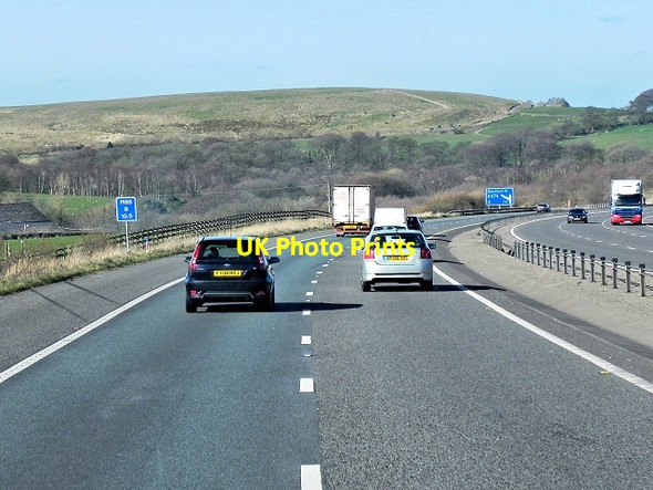 Photo 6"x4" Westbound M65 Cherry Tree\/SD6525 c2014