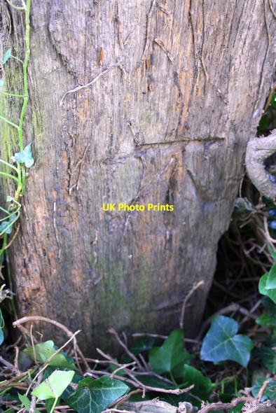 Photo 6"x4" Benchmark on wooden gatepost Great Milton c2014