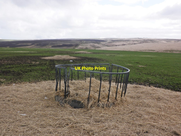 Photo 6"x4" Hay feeder on Stowey Allotment Oareford c2014