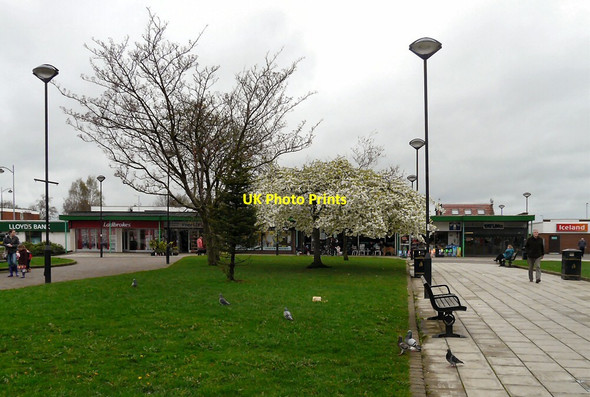 Photo 6"x4" Spring at Woodley Precinct Hyde\/SJ9494 c2014
