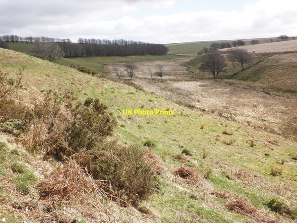 Photo 6"x4" Long Combe East Pinford c2014