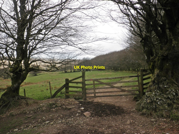 Photo 6"x4" Gateway above Long Combe Oareford c2014