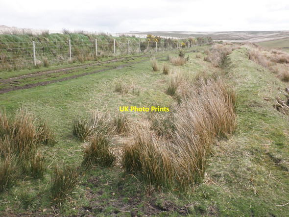 Photo 6"x4" Track to Larkbarrow Oareford c2014