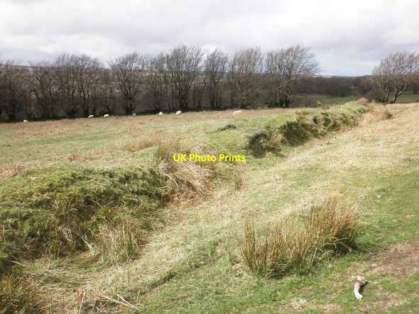 Photo 6"x4" Field boundary, above Long Combe Oareford c2014