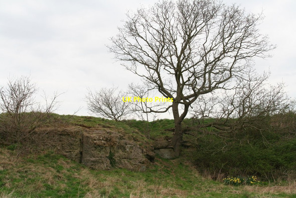 Photo 6"x4" Salmonby sandstone outcrops Bag Enderby c2014