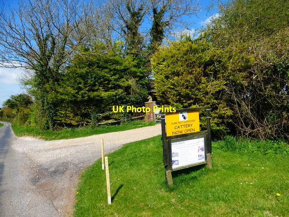 Photo 6"x4" Entrance to cattery west of Lower Wield Lower Wield c2014