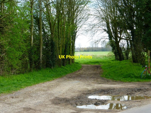 Photo 6"x4" Oak Hill Lane goes north east from minor road east of Preston Candover Axford\/SU6143 c2014