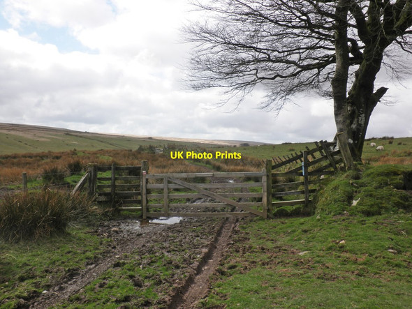 Photo 6"x4" Gateway, Larkbarrow Larkbarrow c2014
