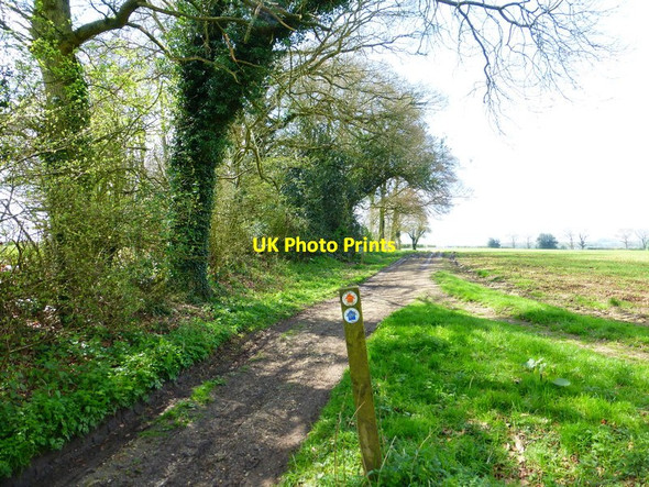 Photo 6"x4" Post with waymarks near Bradley Corner Bradley\/SU6341 c2014