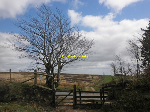 Photo 6"x4" Path crossing, Wellshead Lane Alderman's Barrow c2014
