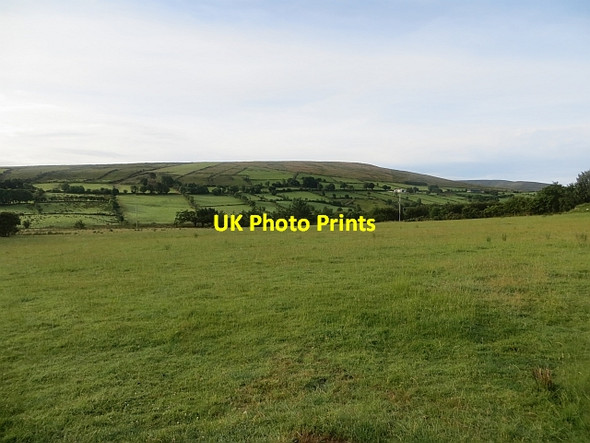 Photo 6"x4" Field by Carnanreagh Road Claudy c2013