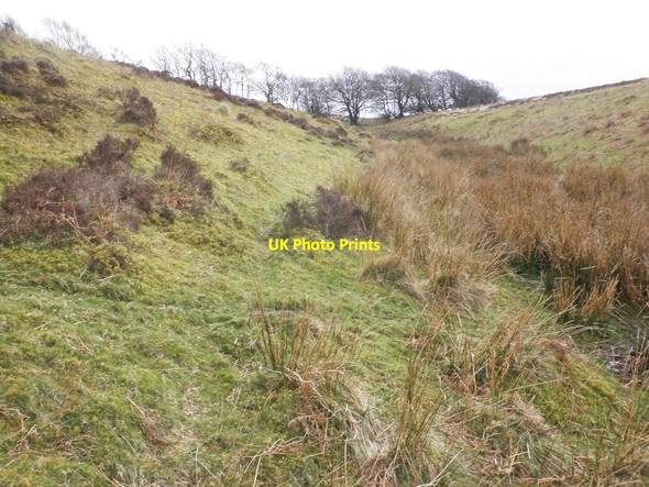 Photo 6"x4" Feeder stream on Lucott Moor Lucott Cross c2014