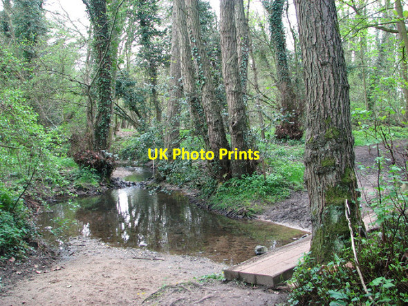 Photo 6"x4" Footpath crossing stream Hawes' Green c2014
