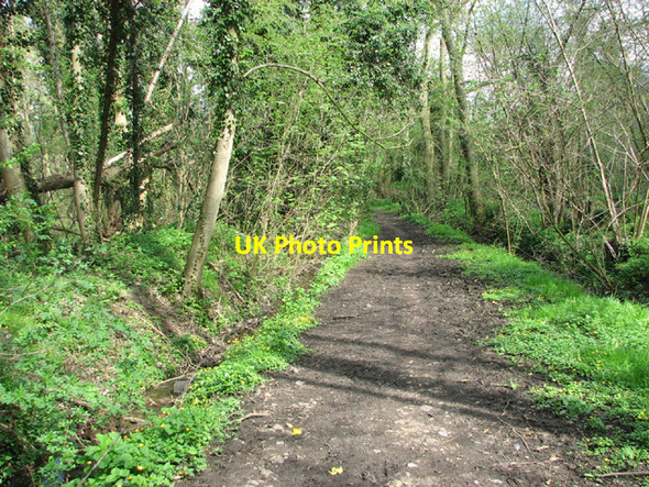 Photo 6"x4" Footpath to Shotesham Hawes' Green c2014
