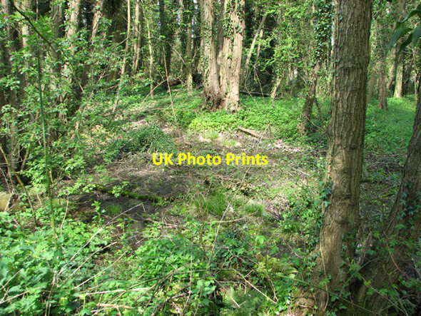 Photo 6"x4" V2 rocket crash site Hawes' Green c2014 P1