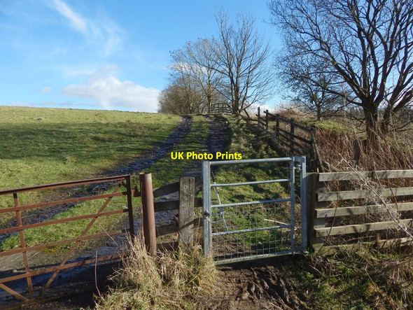 Photo 6"x4" Start of a path to Duntocher Erskine c2014