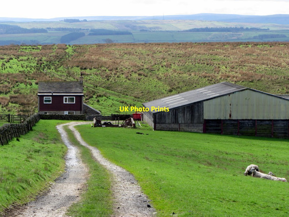 Photo 6"x4" Seldom Seen from north Chesterwood c2014