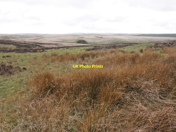 Photo 6"x4" View towards Hoscombe Oareford c2014