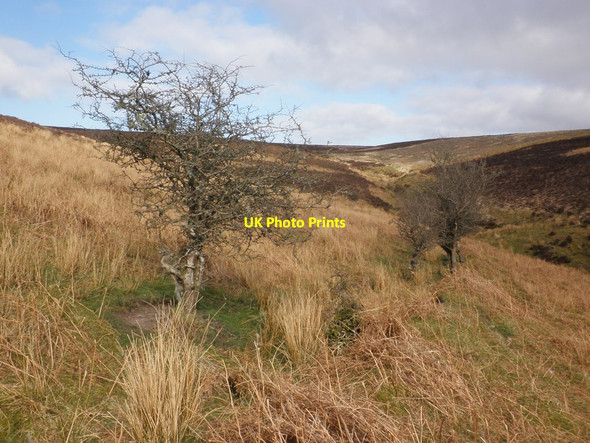 Photo 6"x4" Mill Hill Oareford c2014