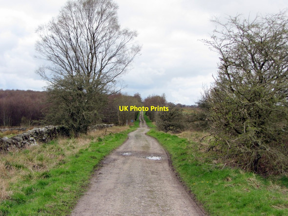 Photo 6"x4" West along Haresby Road Chesterwood c2014