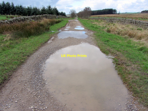 Photo 6"x4" On Haresby Road Chesterwood c2014