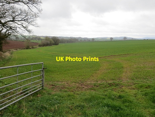 Photo 6"x4" Arable land Grendon Green c2014