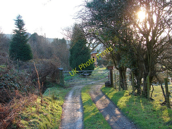 Photo 6"x4" The track from Talyrnau Farm Cwm-Llinau c2008