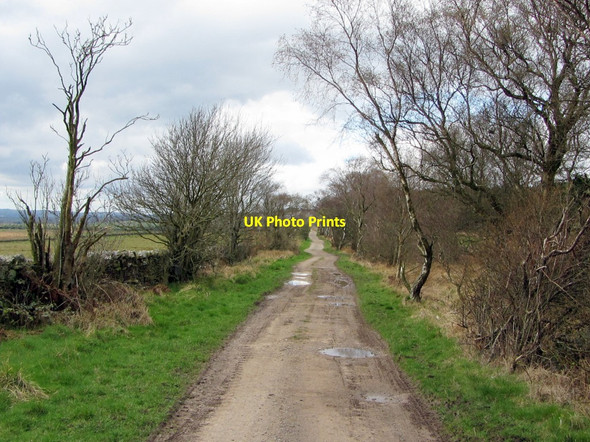 Photo 6"x4" East along Haresby Road Chesterwood c2014