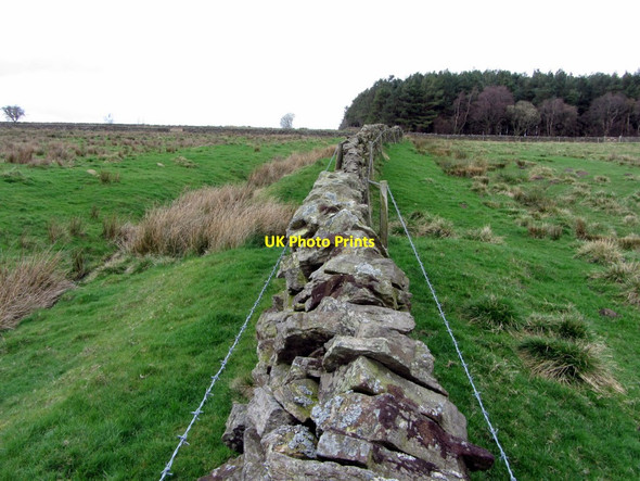 Photo 6"x4" The Black Dyke south of Haresby Road Chesterwood c2014