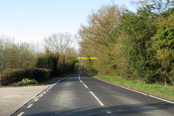 Photo 6"x4" Lodge Road to Twyford Hurst\/SU7973 c2014